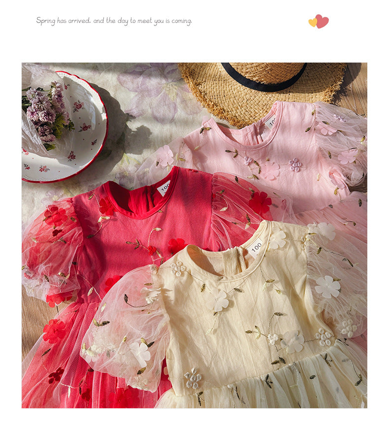 Floral Embroidered Tulle Dress