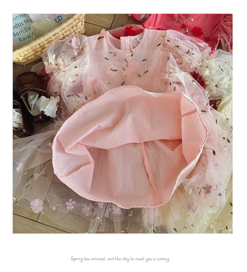 Floral Embroidered Tulle Dress